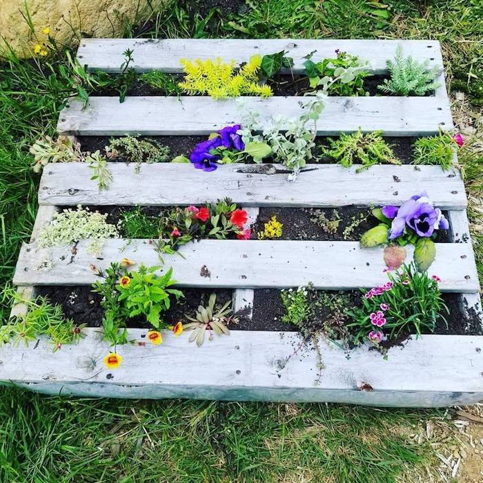 planter des fleurs sur l horziontal, idee de jardinière palette avec des fleurs plantées en terreau sur le sol