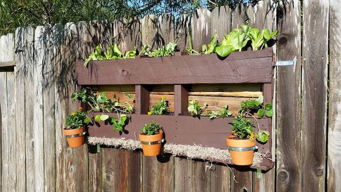 habiller mur vegetal exterieur avec une palette à pots de fleurs fixés et des plantes vertes rangées dedans