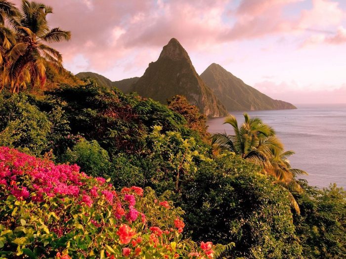 Saint Lucia Caraïbes, fleurs et montagnes au bord de la mer Caribbean 