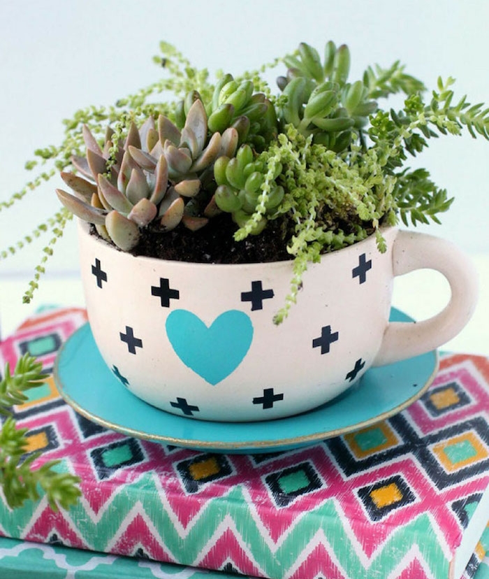 idée de tasse à thé à coeur bleu entouré de plus avec sous coupe bleue avec des succulents à l intérieur