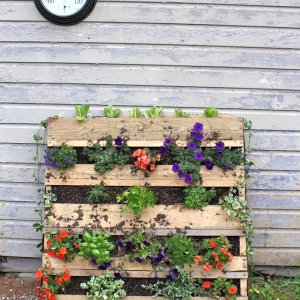 Fabriquer une jardinière ou potager en palette - une solution DIY pour décorer ou pour consommer bio