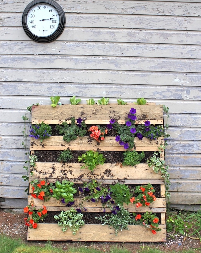 idée de mur végétal palette avec des fleurs plantées dans terreau situé dans les interstices d une palette