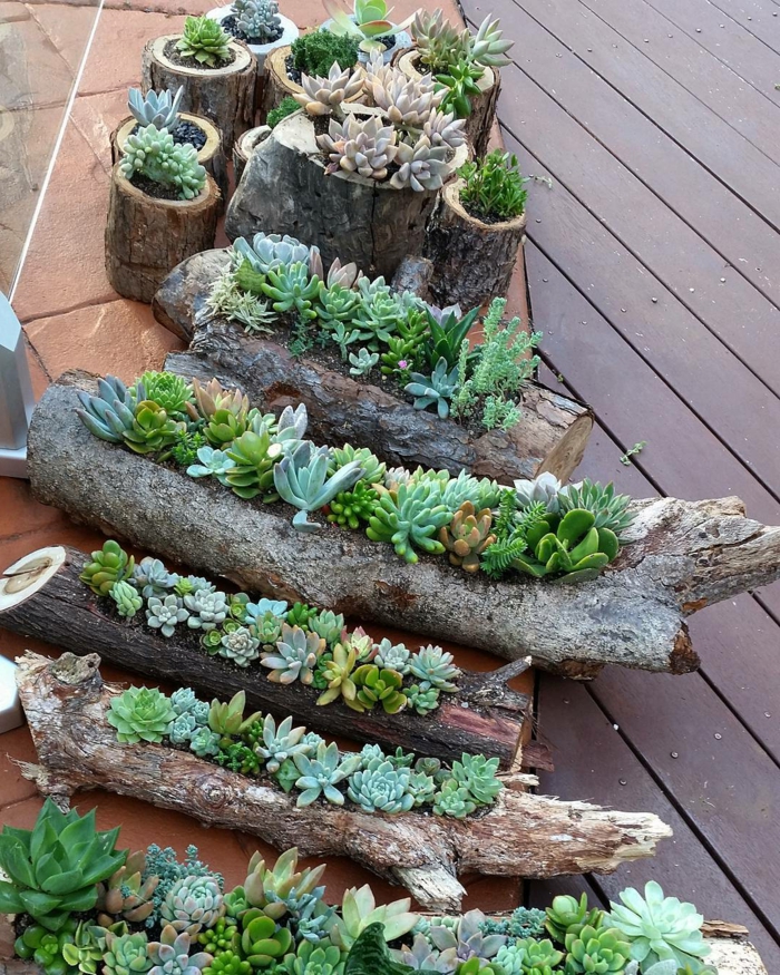 cactus plantés dans jardinières en bois flotté, plantes succulentes extérieur pour terrasse