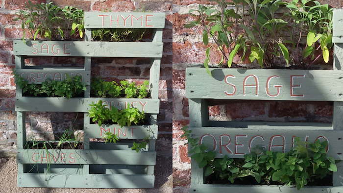 idée comment cultiver et planter des herbes fraiches dans une palette, habillage mur vegetal exterieur maison