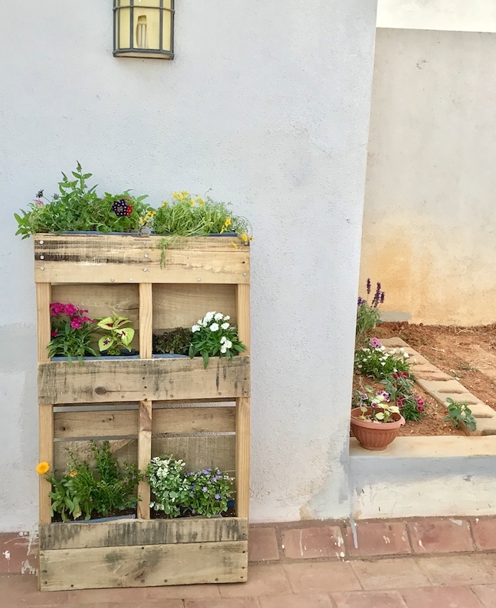 jardin vertical miniature a faire soi meme en bois recyclé avec des fleurs plantés à l extérieur, amenagement exterieur maison