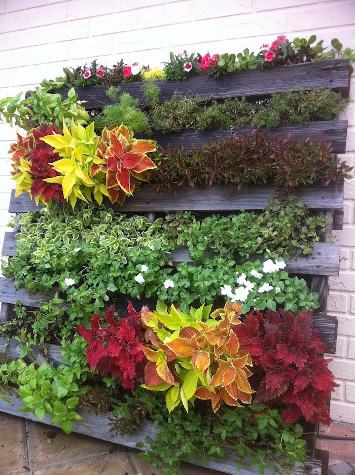 exemple de mur vegetal exterieur à plusieurs plantes dans les interstices d une palette, deco exterieure originale