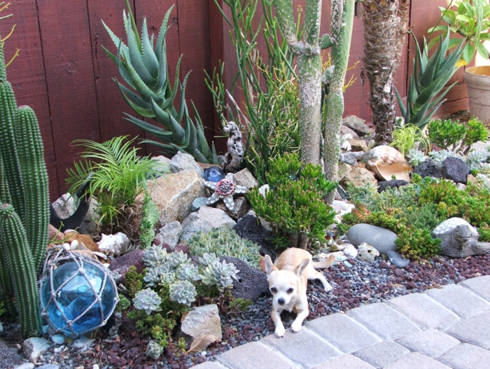plantes grasses exterieur, petit chien blanc, lampe boule décorative, grands cactus, pierres