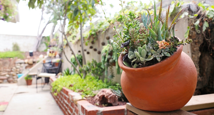 déco de jardin pot, mini jardin de succulentes en pot, muret de briques rouges, grand mur