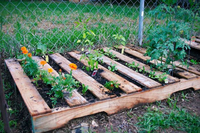 palette de bois posée au sol avec des fleurs et autres plantes aa cultiver, légumes, idee comment creer son propre jardin potager