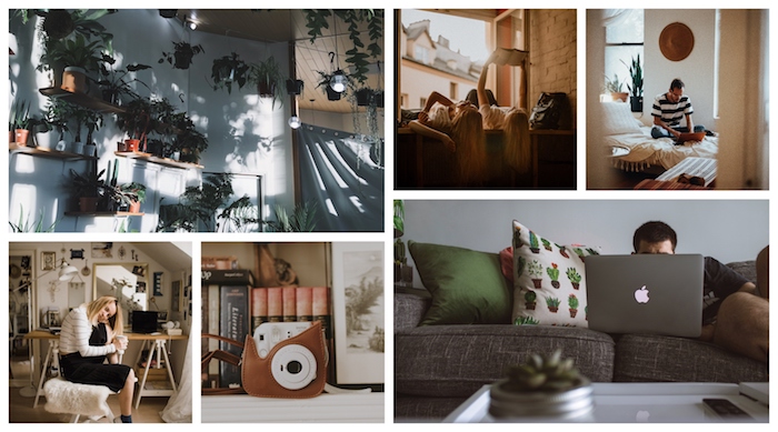 Idée deco boheme chic, déco berbère, intérieur moderne et simple, belle photo artistique, appareil de photo instantané cuir croquis, chambre avec plantes vertes en étagères sur le mur