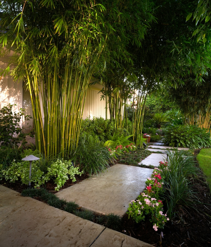 bambous, jolie allée de jardin, plantes fleuries, gazon tondu, decoration jardin minimaliste