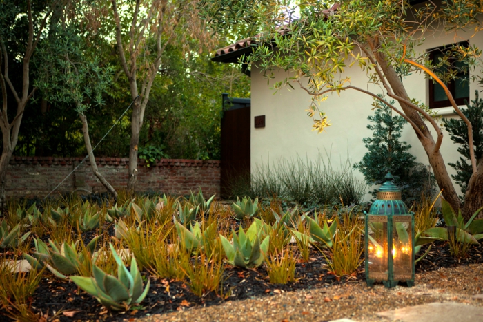 aménager un joli jardin paysager, lanterne décorative en verre, cadre bleu, parterre de plantes architecturales