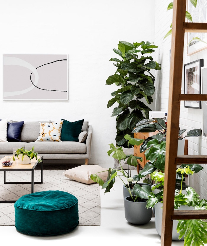 plusieurs plantes vertes d intérieurs en pots, tapis gris, pouf vert tuequoise, canapé gris et coussins de couleurs variées, murs blancs, quelle plante appartement