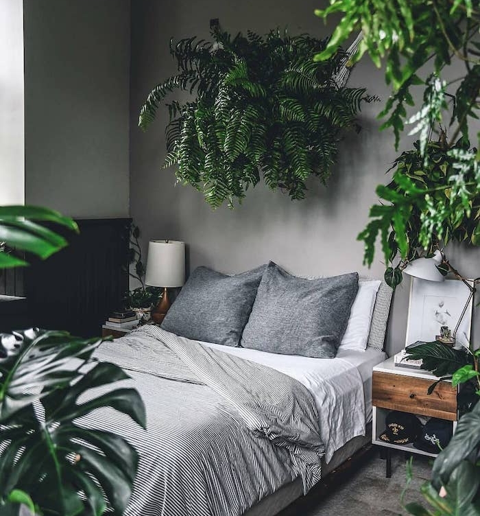 chambre jungle deco en plusieurs plantes vertes, monstera deliciosa et plante en guise de tete de lit originale, linge maison gris et blanc, murs gris