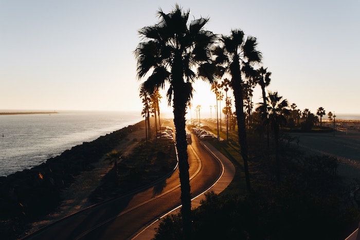 Chemin californien, l'autoroute 101 ou 1 tout prêt de l'océan pacifique, fond d'écran paysage d'été, la beauté de la nature en été palmiers