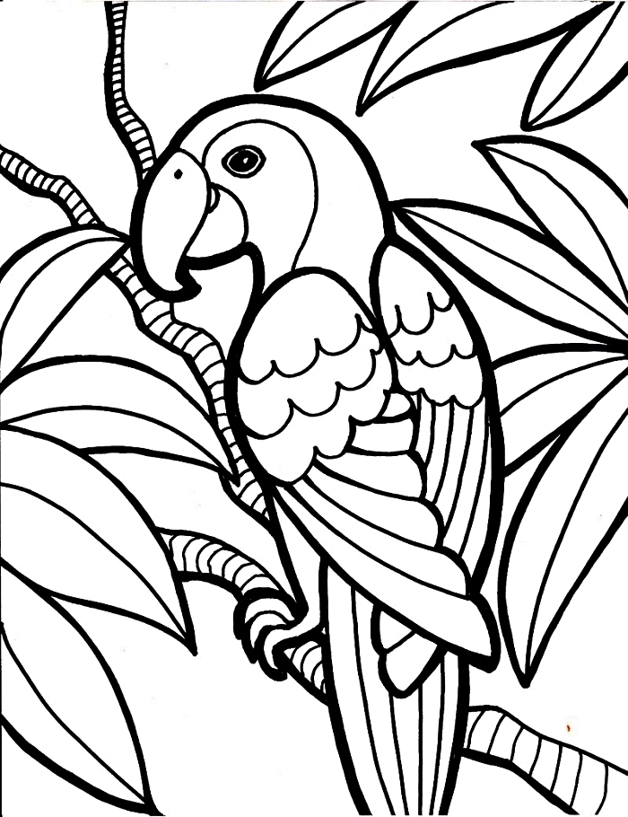 dessin de coloriage perroquet perché sur une branche d'arbre, pages à colorier gratuites sur le thème des animaux