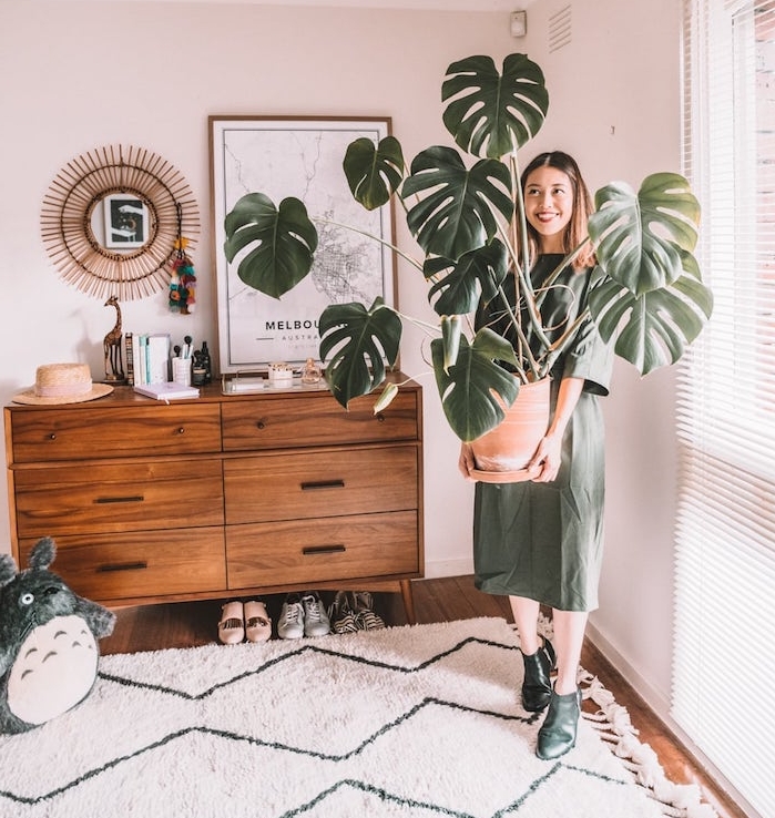 comment adopter la deco jungle avec une plante monstera deliciosa en grand pot, meuble commode bois, tapis moelleux