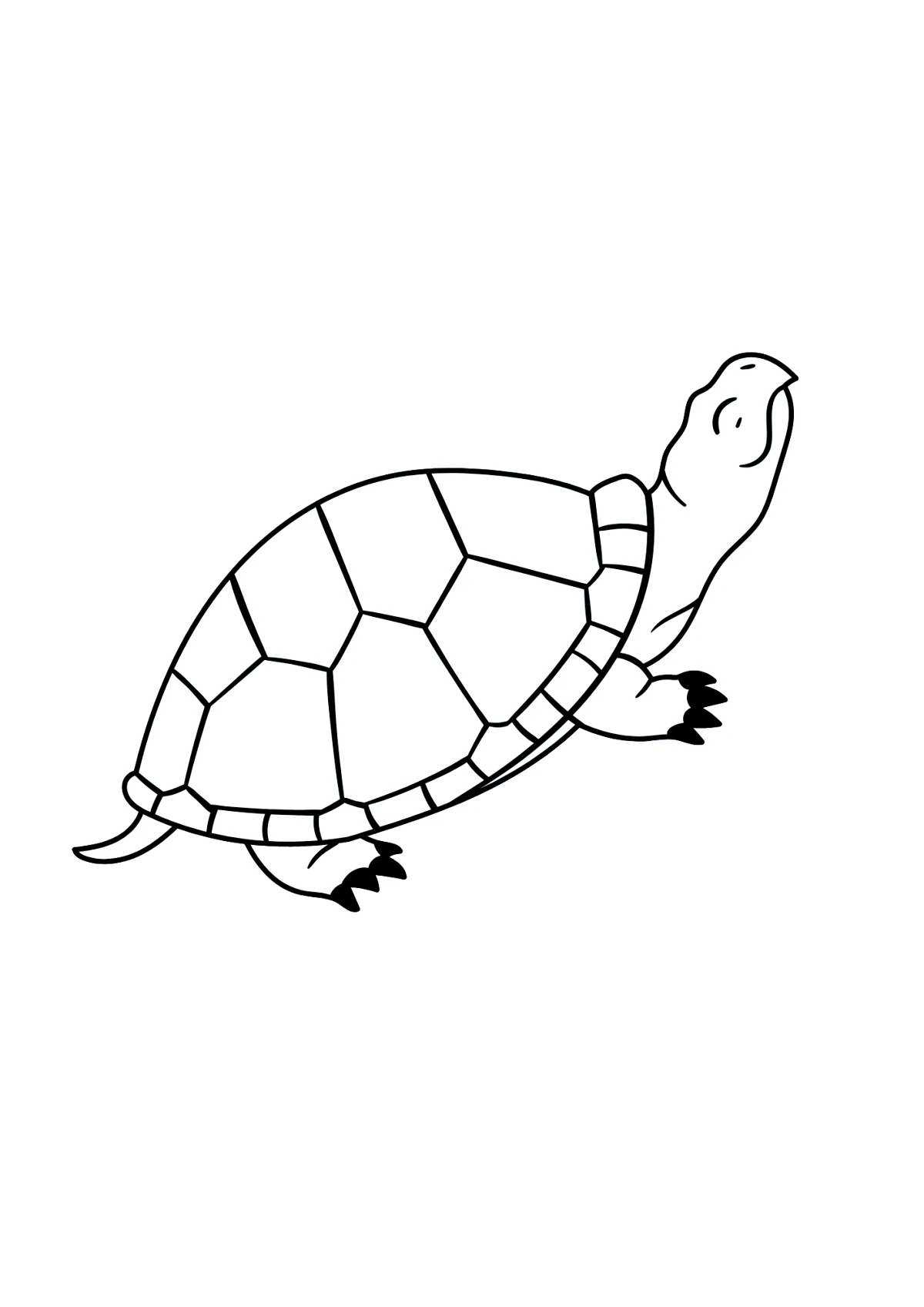 dessin simple de tortue pour imprimer