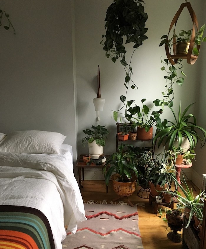 murs gris de vert dans une chambre jungle avec chevet de plusieurs végétaux, parquet bois clair, linge blanc et couverture colorée