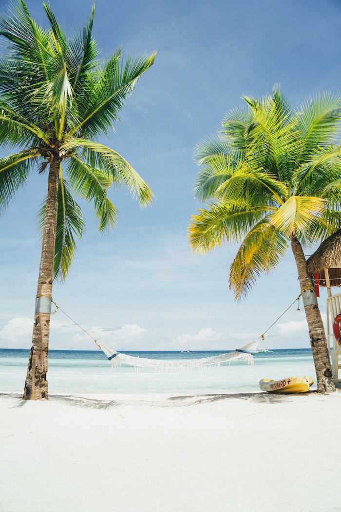 Palmiers avec un hamac au milieu, sable blanche, plage pour relaxer, fond ecran mer, paysage paradisiaque, choix d'image nature