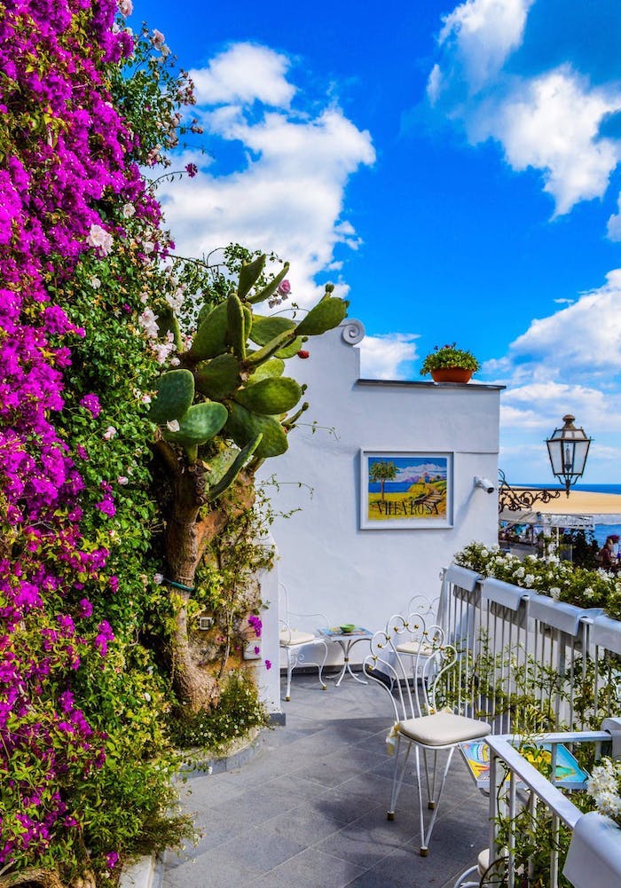 Grèce belle vue d'une villa avec cactus et mur fleurie, paysage paradisiaque, fond d'écran été, beau paysage 