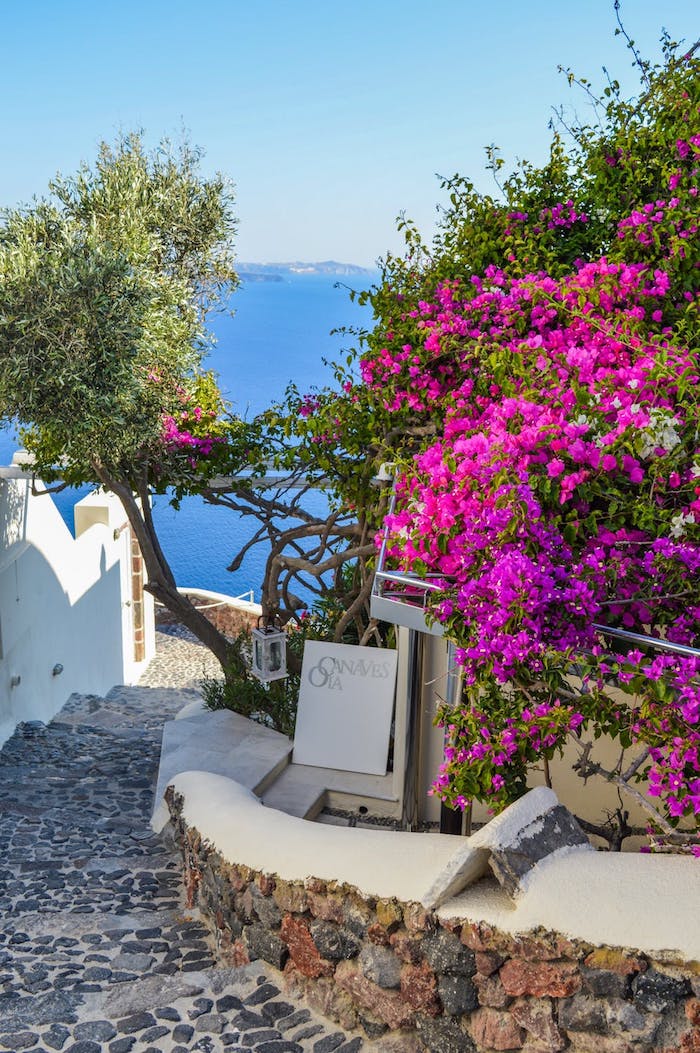 Oia Santorin petit rue en Grèce, belle photo pour fond d'écran tumblr, fond d'écran été paysage paradisiaque 