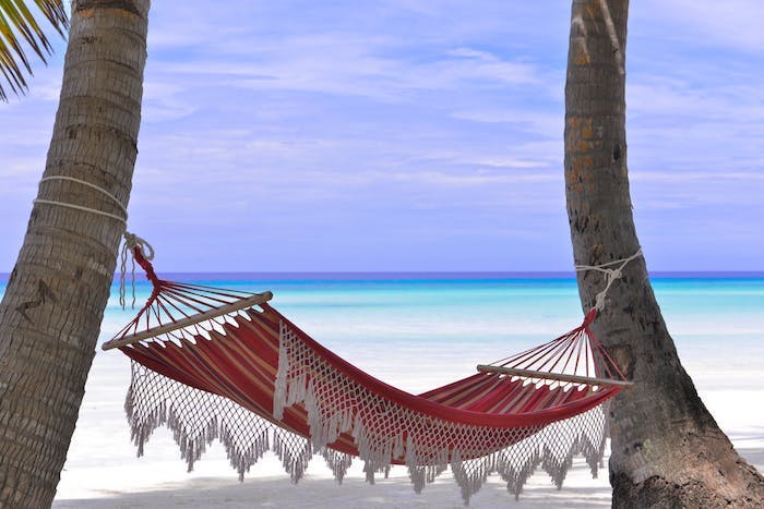 Hamac pour un été libre, fond d'écran zen, le plus beau fond d'écran paysage paradisiaque de plage avec palmes