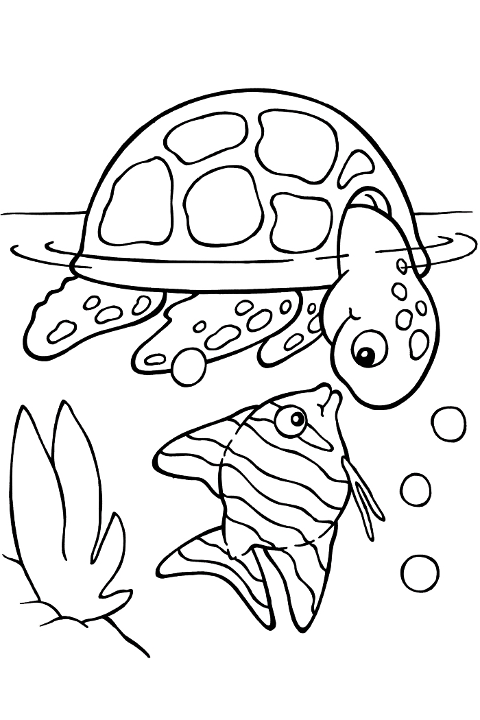 activités et jeux coloriage pour les enfants de la maternelle, dessin gratuit pour coloriage tortue et poisson 