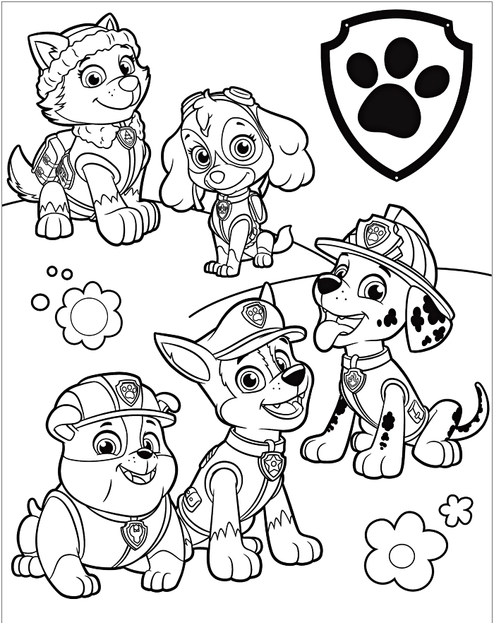 coloriages gratuits de la pat patrouille, dessin à colorier avec les personnages de la pat patrouille