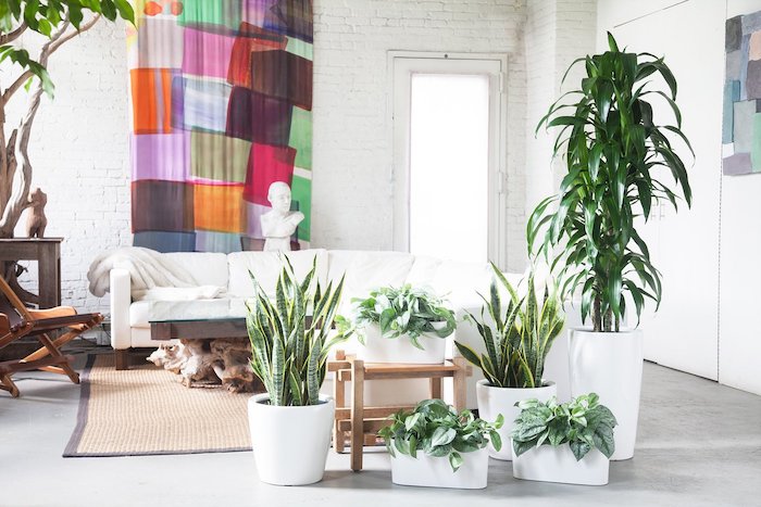 deco salon artistique à plantes d intérieur originales en pots blancs, canapé blanc, tapis tressé, mur de briques blanches et panneau décoratif coloré