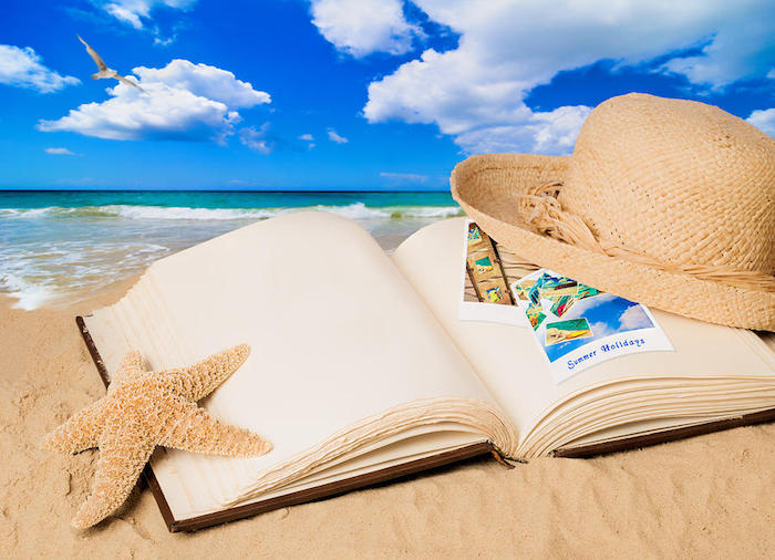 Livre de vacances d'été sur plage de sable, oiseau en vol, fond d écran paysage, découvrir la beauté de notre monde