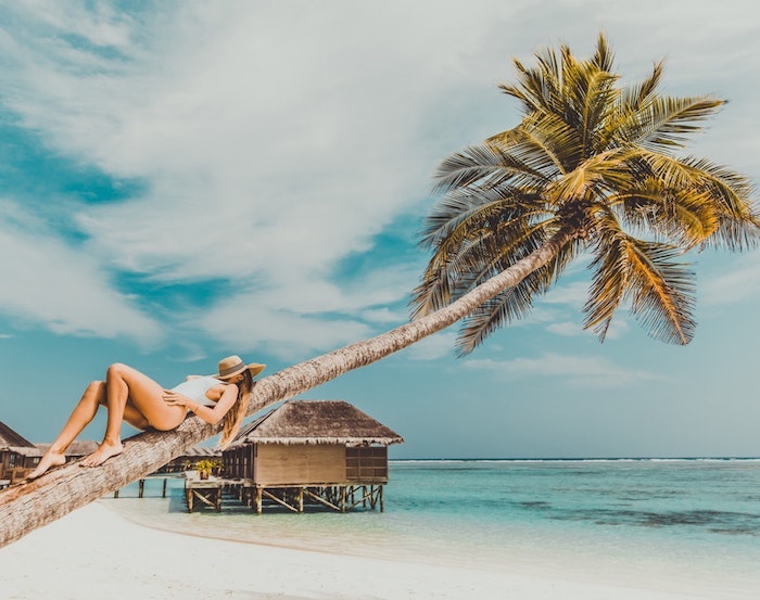 Arbre palmier et femme sur la palme, plage sable blanche en polynesie francaise, image paysage, paysage paradisiaque, fond d'ecran moderne