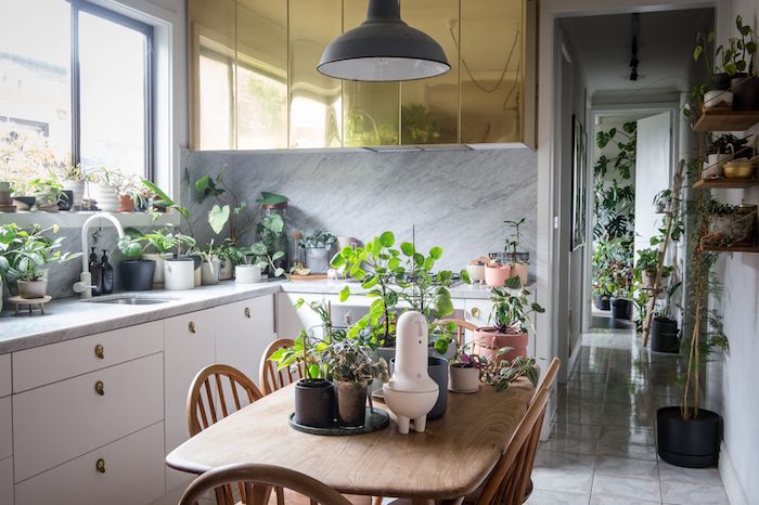 plante appartement, deco cuisine avec végétaux sur le plan de travail marbre et sur table bois, meuble haut or et meuble bas cuisine blanc