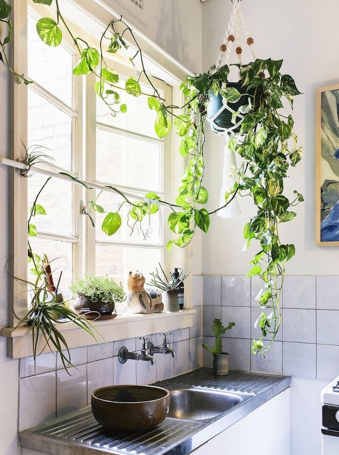 plante retombante au dessus d un évier, carrelage blanc cuisine traditionnelle, murs blancs, deco originale cuisine campagne