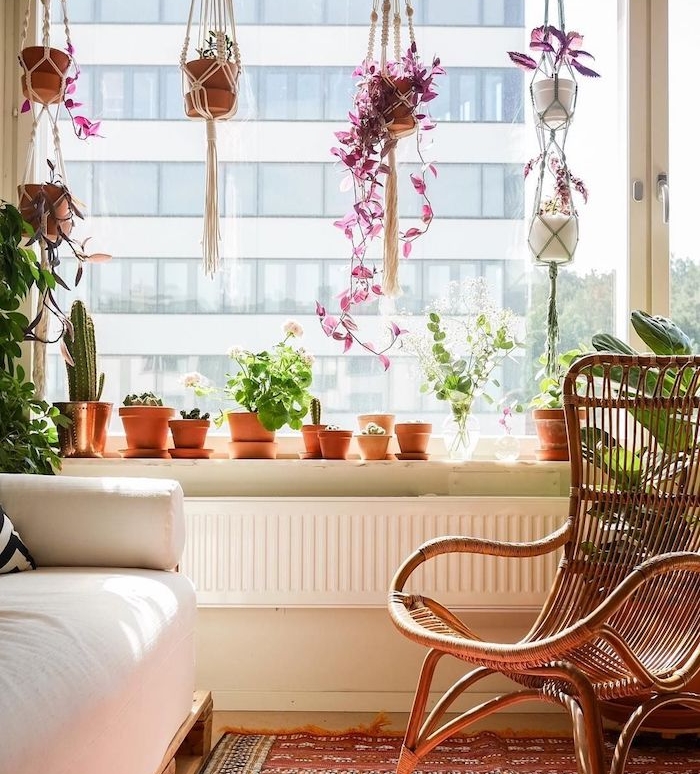 plante d intérieur succulente et et cactus en pot, pots macramé suspendus de haut, chaise cannage, canapé blanc