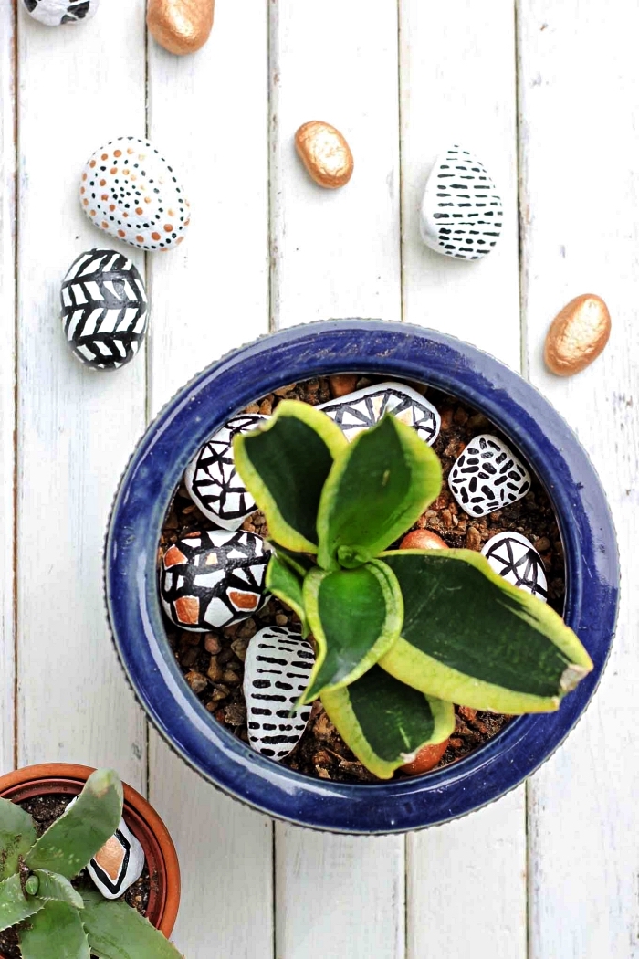 activité de peinture sur galet pour réaliser une jolie décoration pour vos pots de fleurs, idée deco galet graphique à mettre dans le pot de plante
