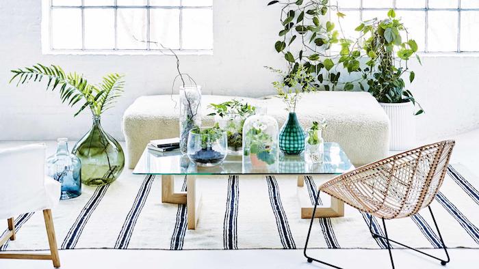 deco scandinave salon blanc et vert avec des végétaux en terrariums pour plantes, tapis noir et blanc, table bois et verre