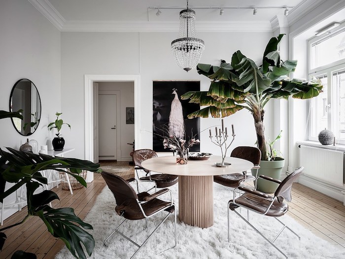 idée de table design original, chaises en cuir, tapis blanc moelleux, bananier en pot enorme, parquet bois clair, murs blancs, lustre elegant