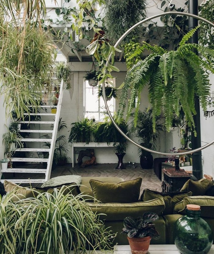 decoration style jungle dans un salon envahi par la végétation, canapé vert olive, escalier blanc, plusieurs plantes retombantes