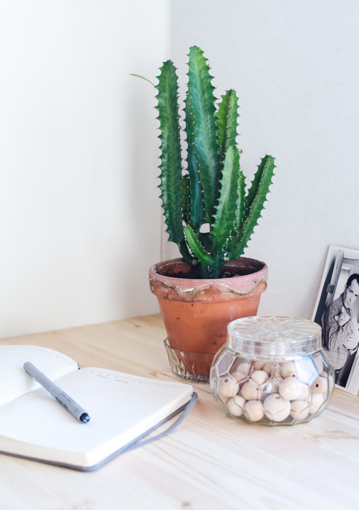 Cactus vert dans un petit pot, mignonne decoration bureau scandinave, nordique coin bureau