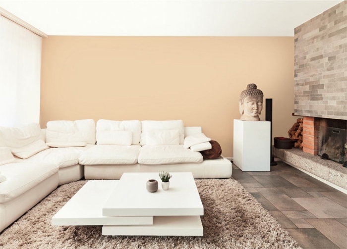 ambiance zen dans un salon spacieux et lumineux aux murs beige, déco de salon avec cheminée au carrelage sol nuances marron