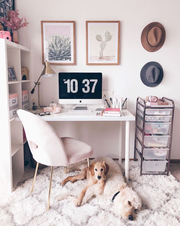 Deux tableaux avec photos de cactus, adorable chiens sur tapis blanc cosy, idée déco bureau, décoration bureau à la maison, chapeaux sur le mur pour déco