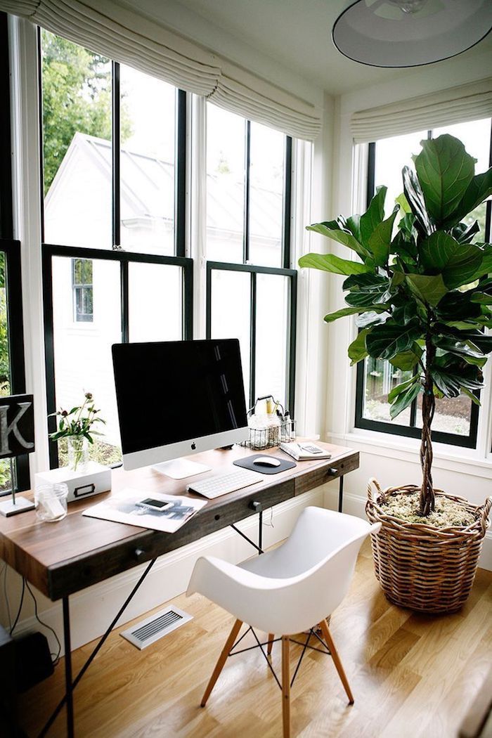 Grand fenetre avec vue de jardin, scandinave chambre plantes vertes et meubles style nordique bureau fait maison, rangement bureau, la beauté de la simplicité