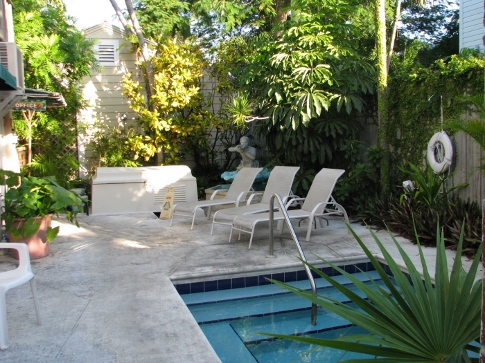 comment décorer une petite cour arrière avec petite piscine et terrasse bétonnée, idée aménagement piscine avec transats et fontaine