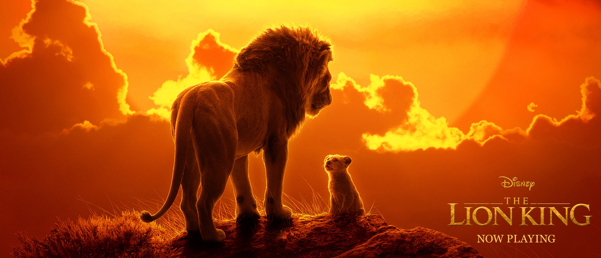 Malgré une baisse par rapport à sa première semaine, Le Roi Lion reste le film le plus regardé dans les cinémas américains ce week-end
