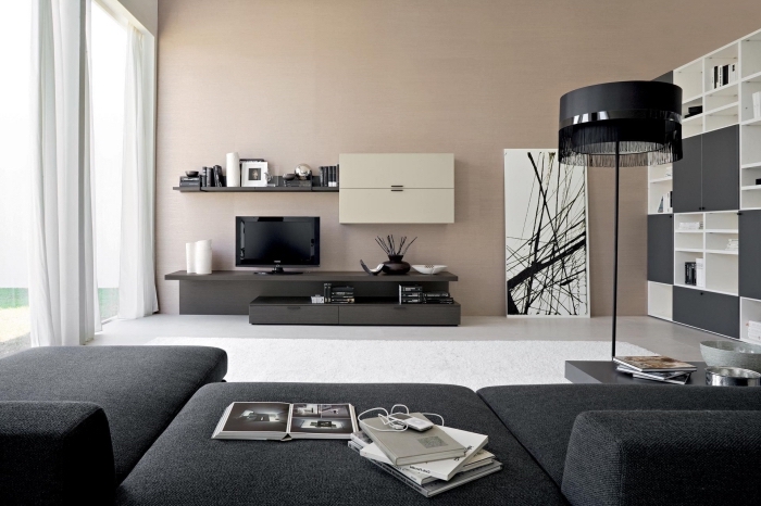 décoration de salon moderne avec peinture beige sable et meubles noirs, design intérieur contemporain avec couleurs neutres