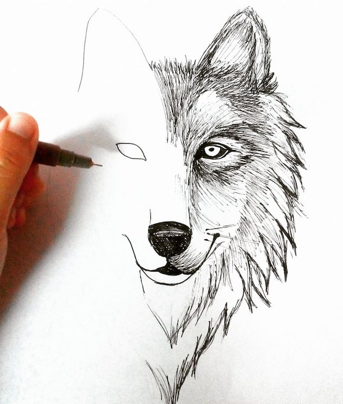 tete de loup dessin, comment faire un dessin facile a reproduire au stylo à pointe fine sur feuille vierge
