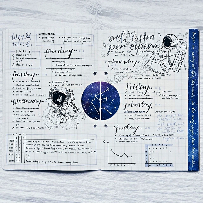 deco bullet journal sur le thème de l'espace avec petits dessins d'astronaute, agenda hebdomadaire grille, diagrammes et notes