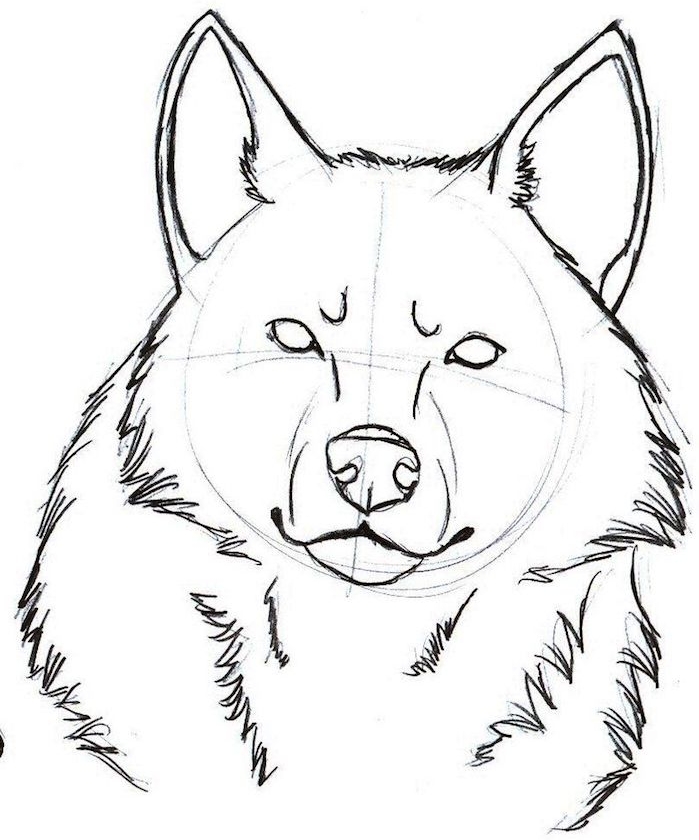 1001 Astuces D Artiste Pour Apprendre A Realiser Un Dessin De Loup