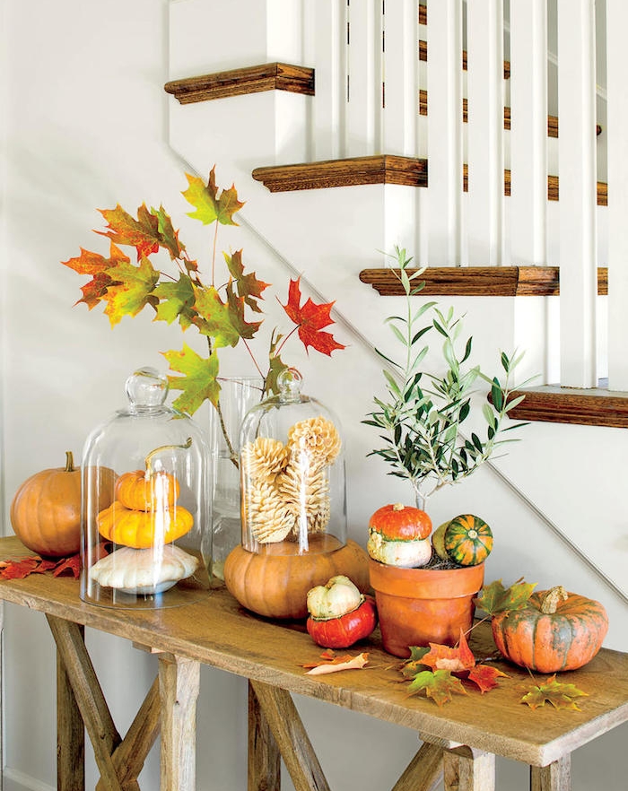 cloches en verre avec deco automne en potirons, pommes de pin dorées, feuilles d automne sur une table bois brut